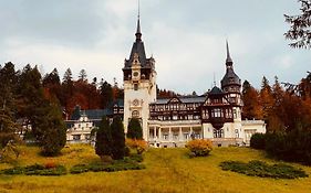 Wood Studio Sinaia