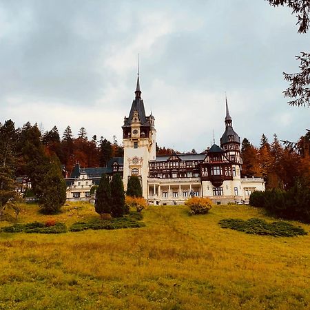Wood Studio Sinaia Exterior foto