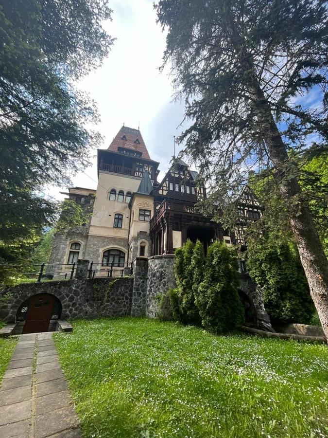 Wood Studio Sinaia Exterior foto