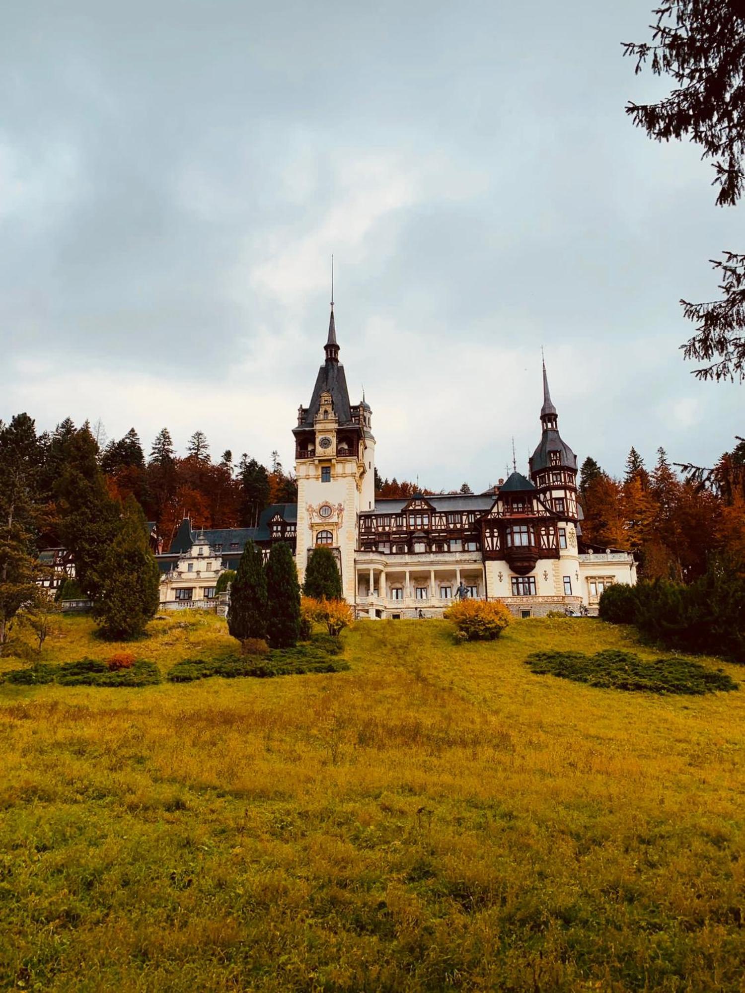 Wood Studio Sinaia Exterior foto